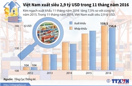 Việt Nam xuất siêu 2,9 tỷ USD trong 11 tháng